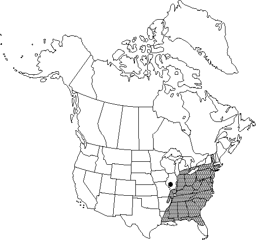 Map of Yellow-poplar, tulip-poplar, tuliptree in Canada