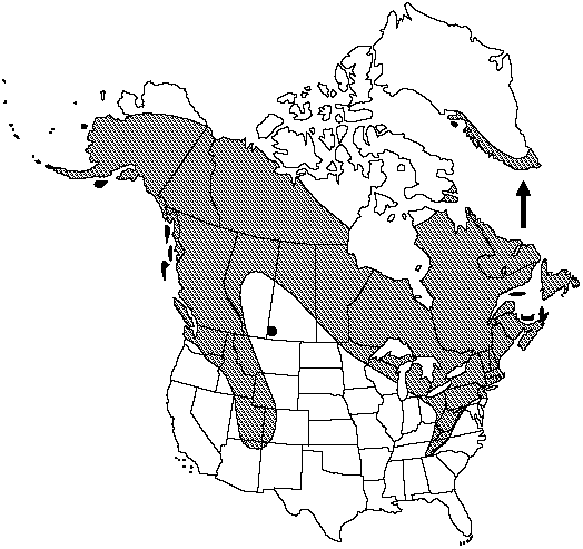 Map of Bristly club-moss in Canada