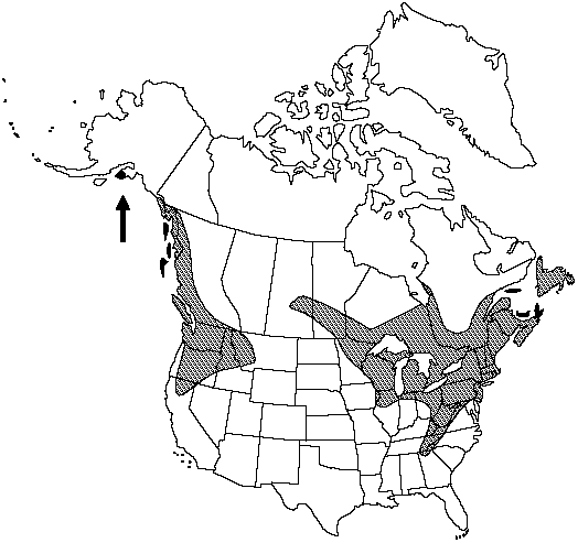 Map of Common club-moss in Canada