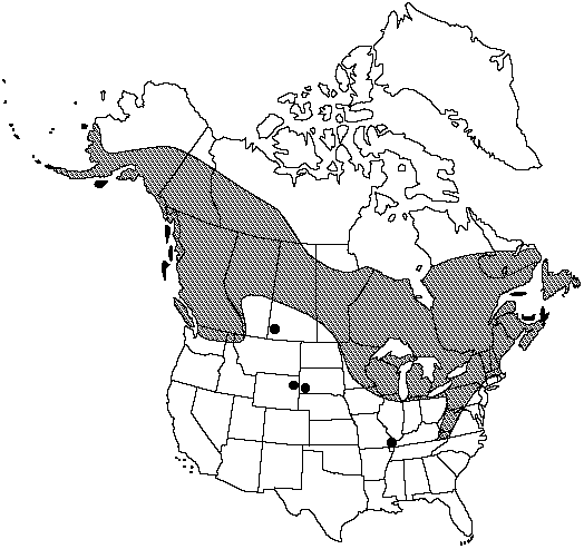 Map of Prickly tree club-moss in Canada