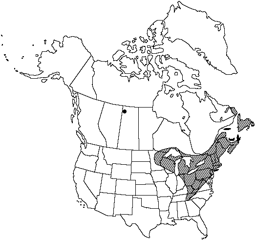 Map of Hickey's tree club-moss in Canada