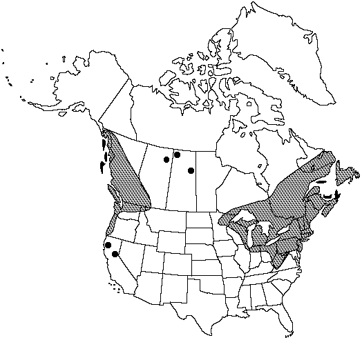 Map of Northern bog club-moss in Canada