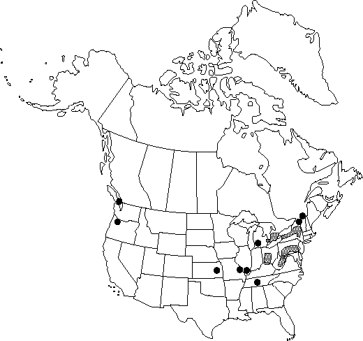 Map of <i>Nigella damascena</i> in Canada