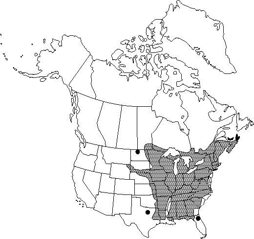 Map of Eastern hop hornbeam, ironwood in Canada
