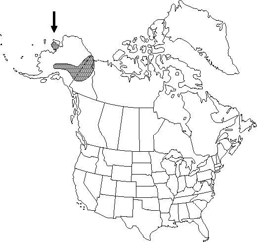 Map of <i>Papaver mcconnellii </i> in Canada