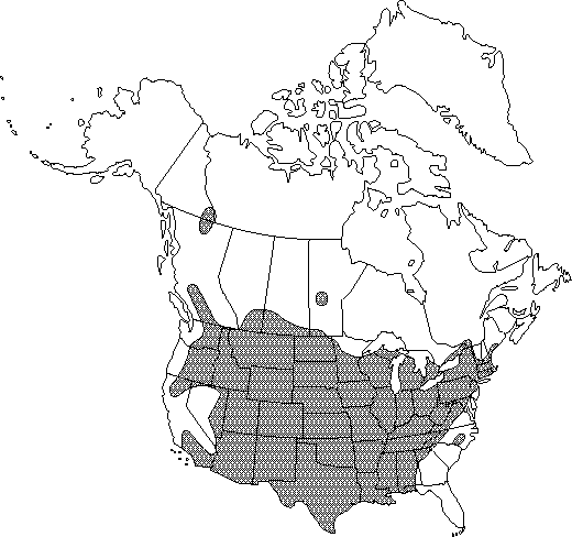 Map of <i>Parietaria pensylvanica</i> in Canada