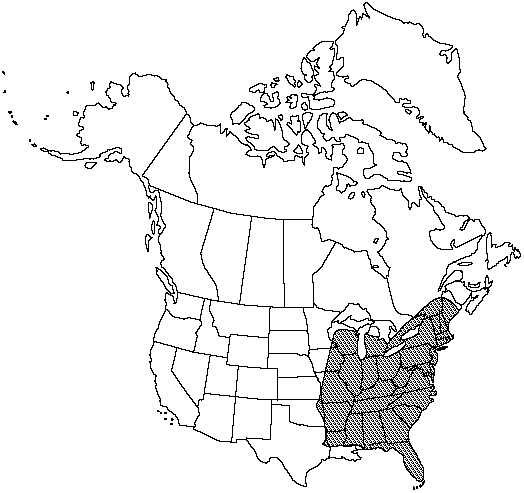 Map of Broad beech fern, southern beech fern in Canada