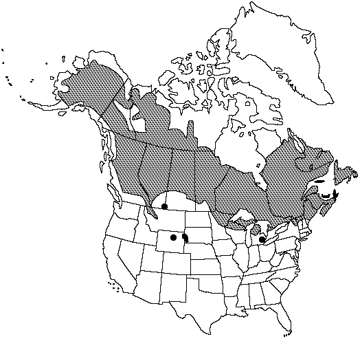 Map of White spruce, western white spruce, Porsild spruce, Black Hills spruce in Canada