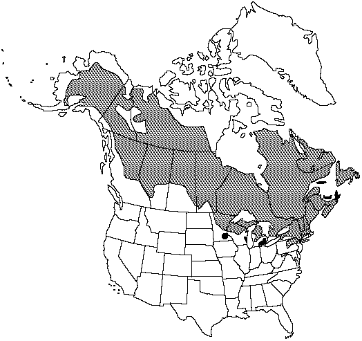 Map of Black spruce in Canada