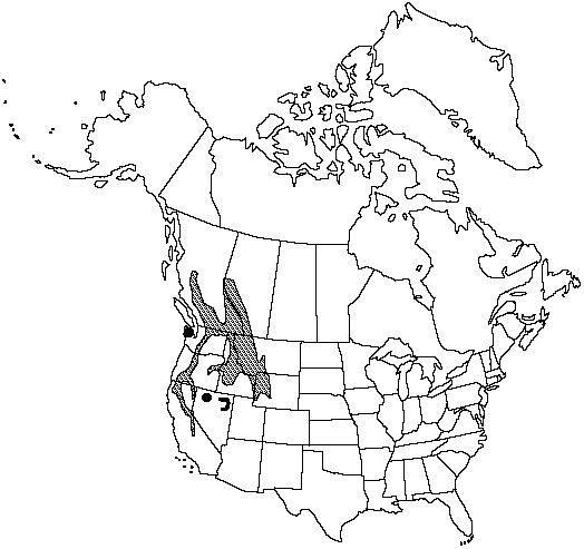 Map of Whitebark pine in Canada