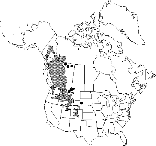 Map of Lodgepole pine in Canada