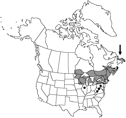 Map of Red pine, Norway pine in Canada