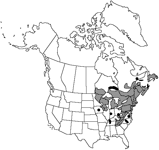 Map of Eastern white pine, northern white pine in Canada