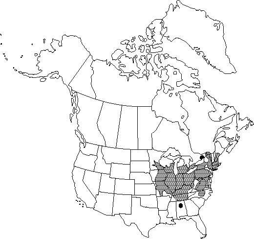 Map of Swamp white oak in Canada