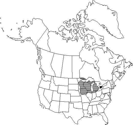 Map of Northern pin oak, jack oak, Hill's oak in Canada