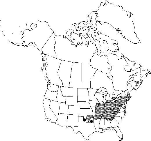 Map of Dwarf chinkapin oak, scrub chestnut oak in Canada