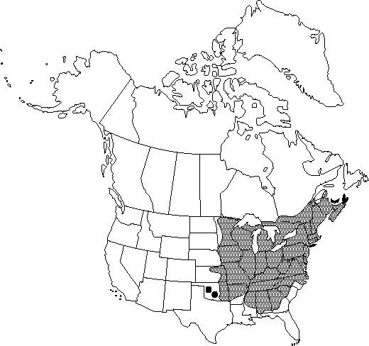 Map of Northern red oak in Canada