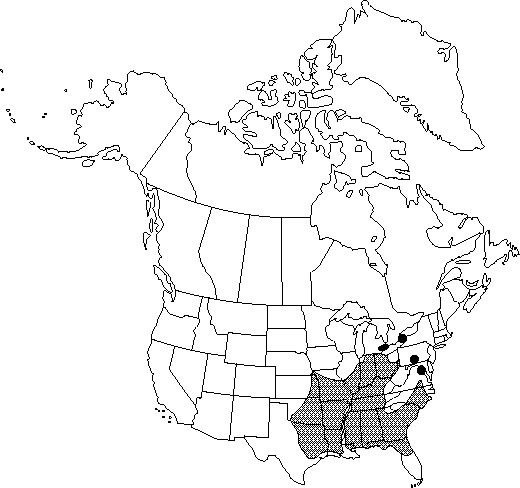 Map of Shumard oak in Canada