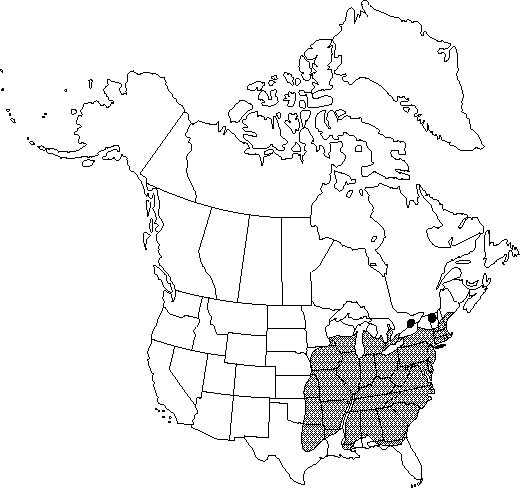 Map of Black oak in Canada