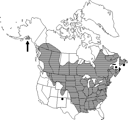 Map of <i>Ranunculus abortivus</i> in Canada