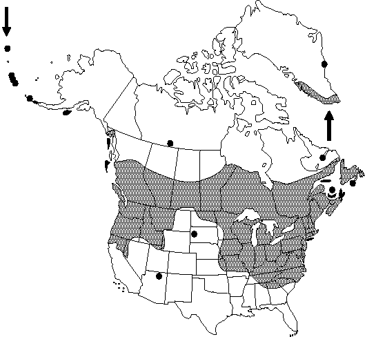 Map of <i>Ranunculus acris</i> in Canada