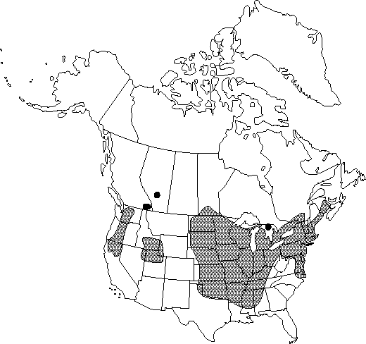 Map of <i>Ranunculus flabellaris</i> in Canada