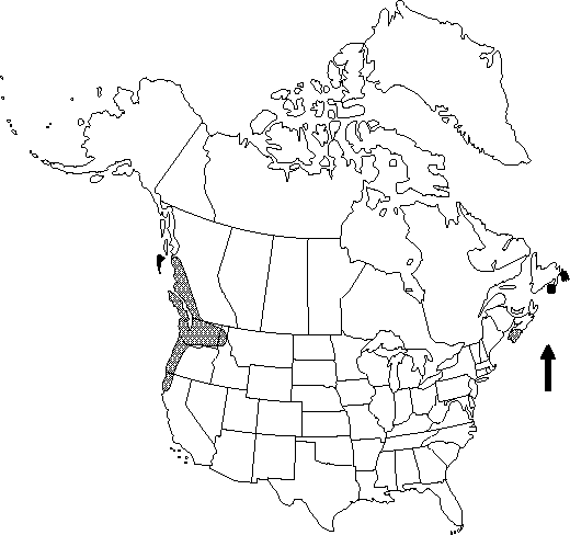 Map of <i>Ranunculus flammula flammula</i> in Canada