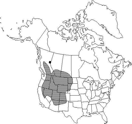 Map of <i>Ranunculus glaberrimus ellipticus</i> in Canada