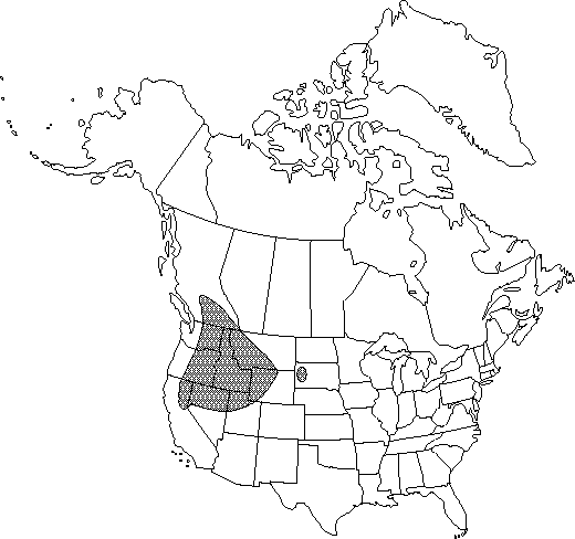 Map of <i>Ranunculus glaberrimus glaberrimus </i> in Canada