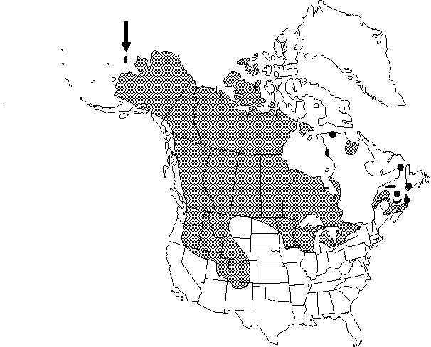 Map of <i>Ranunculus gmelinii </i> in Canada
