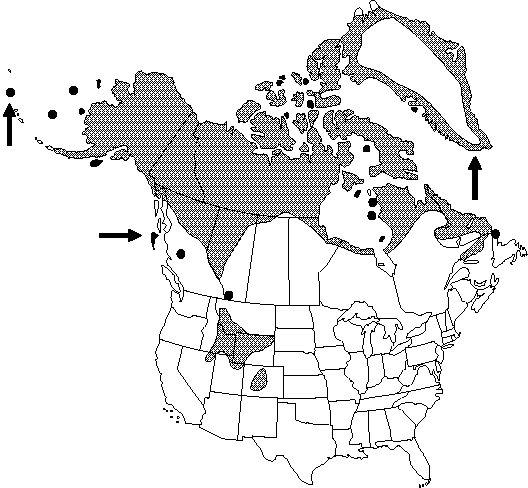 Map of <i>Ranunculus hyperboreus</i> in Canada