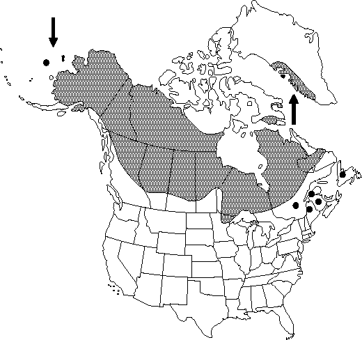 Map of <i>Ranunculus lapponicus </i> in Canada