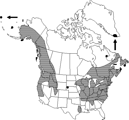 Map of <i>Ranunculus repens</i> in Canada