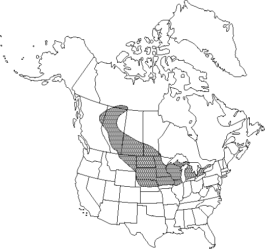Map of <i>Ranunculus rhomboideus</i> in Canada