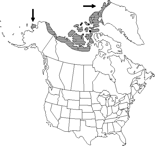 Map of <i>Ranunculus sabinei</i> in Canada