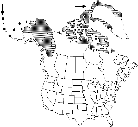 Map of <i>Ranunculus sulphureus</i> in Canada