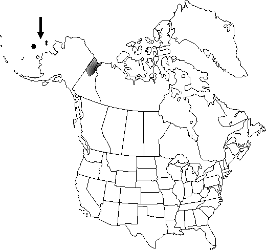 Map of <i>Ranunculus turneri </i> in Canada
