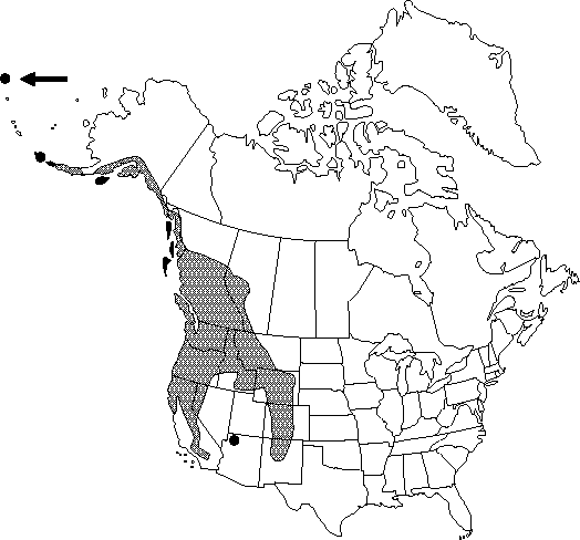 Map of <i>Ranunculus uncinatus</i> in Canada