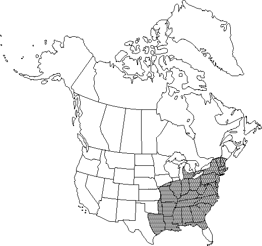 Map of Sassafras, white sassafras in Canada