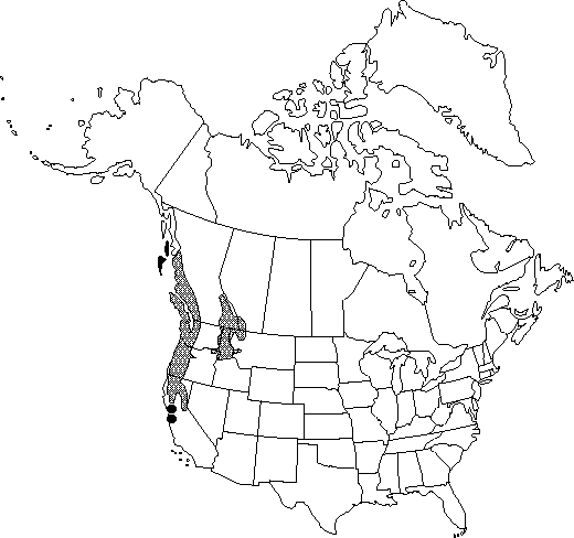 Map of Pacific yew in Canada