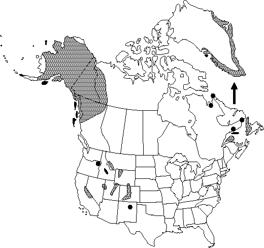 Map of Arctic meadow-rue, dwarf meadow-rue in Canada