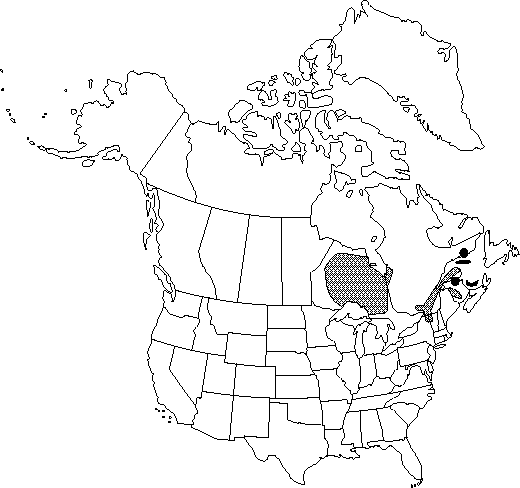 Map of Northern meadow-rue in Canada
