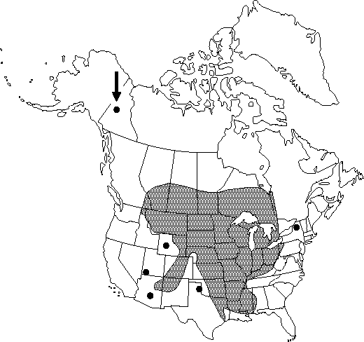 Map of Purple meadow-rue in Canada