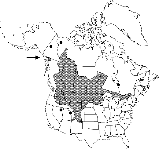 Map of Veiny meadow-rue, early meadow-rue in Canada