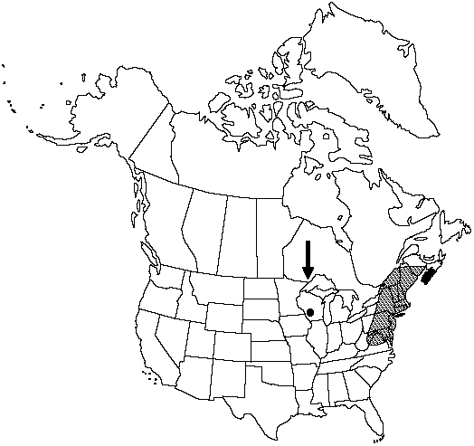 Map of Massachusetts fern in Canada