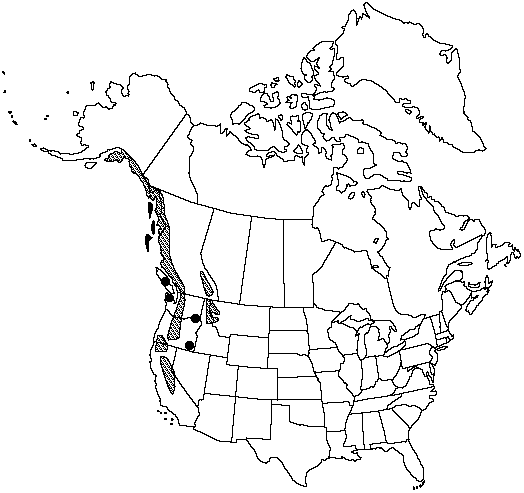 Map of Mountain hemlock in Canada