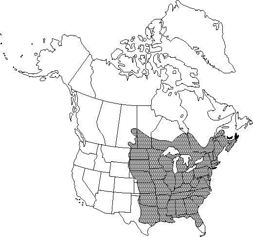 Map of White elm, American elm in Canada