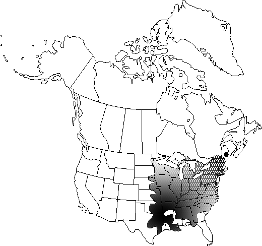 Map of Slippery elm in Canada