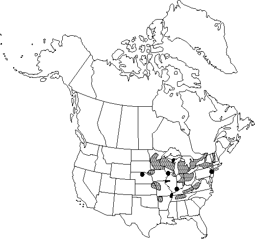 Map of Rock elm in Canada