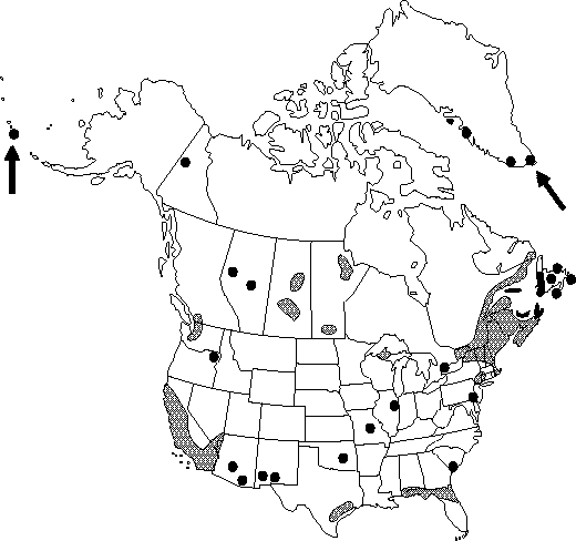 Map of Dog nettle, burning nettle in Canada